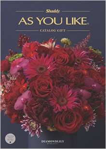 カタログギフト　アズユーライク（全用途）