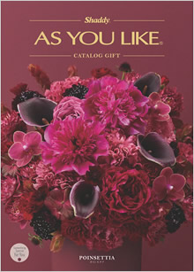 カタログギフト　アズユーライク（全用途）