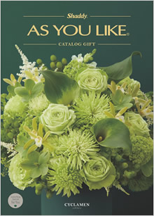 カタログギフト　アズユーライク（全用途）