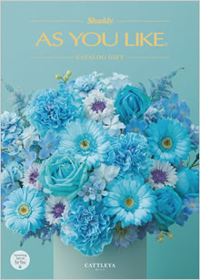 カタログギフト　アズユーライク（全用途）