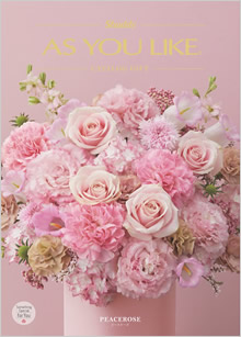 カタログギフト　アズユーライク（全用途）