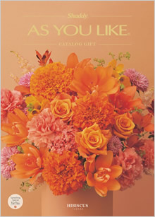 カタログギフト　アズユーライク（全用途）