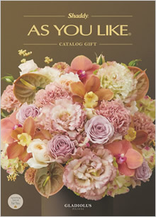 カタログギフト　アズユーライク（全用途）