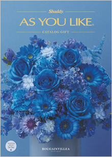 カタログギフト　アズユーライク（全用途）