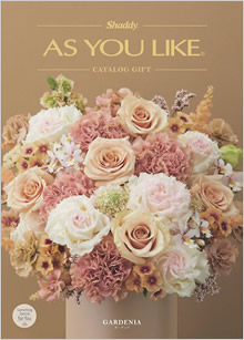 カタログギフト　アズユーライク（全用途）