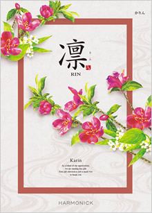 カタログギフト　凛